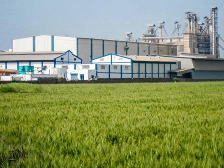 VENKATESWARA P&B  R M business place or rice mill
