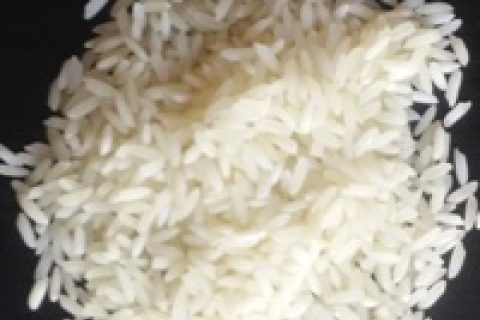 Samba