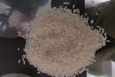 Sona Masuri