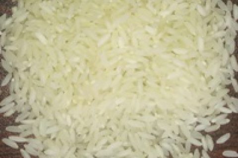 Sona Masuri