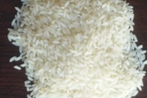 Sona Masuri
