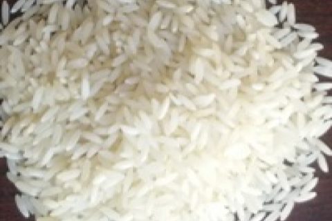 Sona Masuri